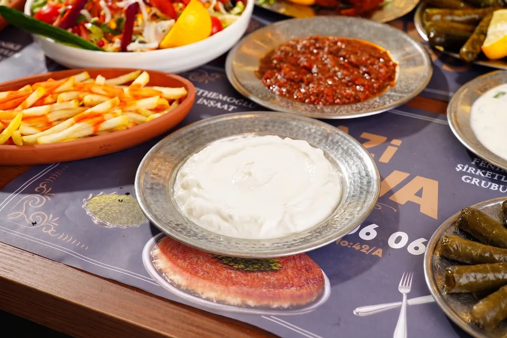 Yoğurt